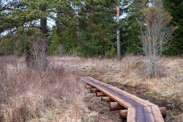 Wooden Pathway Leading Through Wetland Grasses