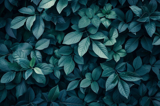 leaves background © Wendelin