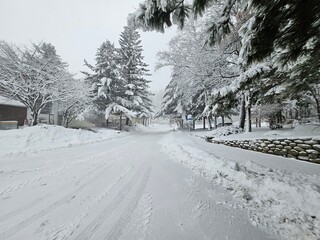 snowed path in the mountain of korea during winter