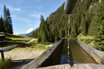 Fresh Alpine Spring Water Flowing into Wooden Trough in Pristine Mountain Forest Environment - 730230241