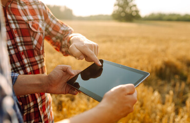 Two young farmers standing in wheat field examining crop holding tablet using internet. Modern...