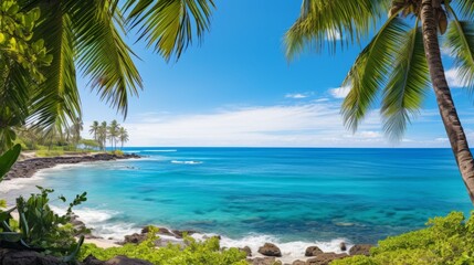 Lush tropical palm trees framing a postcard worthy ocean scene