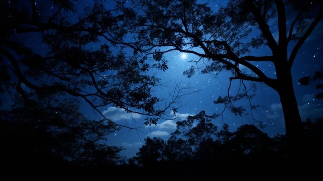 Nighttime Wonder A wondrous night illuminated by the blue moon