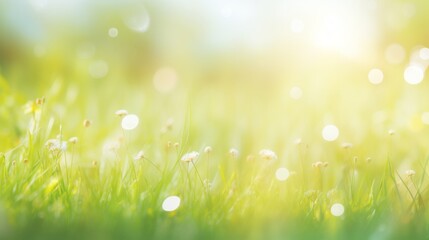 Obraz premium Beautiful wide format image of a pristine forest lawn with fresh grass. Neural network AI generated art