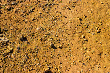 Desert sand as natural background.