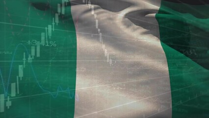 Animation of financial data processing over flag of nigeria - Powered by Adobe
