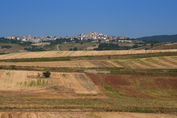 Fototapeta na wymiar Country landscape near Motta Montecorvino, Apulia, Italy