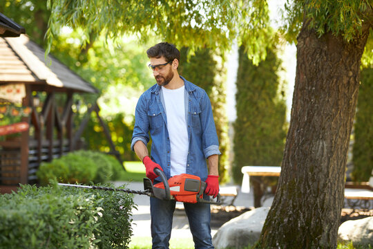 Smiling male landscaper wearing safety glasses, trimming evergreen shrub in garden. Front view of pro handyman using electric bush cutter, taking care of plants in summer. Concept of seasonal work.