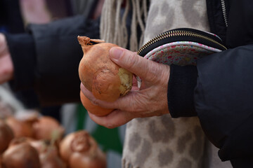 Zagreb, Croatia : 01,05,2024 : Vegetable market called Dolac in the center of Zagreb, the capital of Croatia.