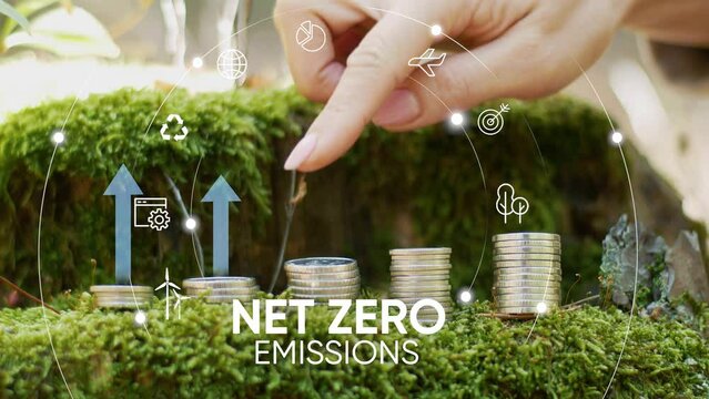 Finance and business concept. Net zero emission concept.Investment graph and rows growth of coins on table. Concept of investing and financial management. 4K