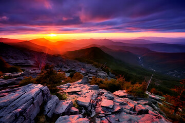 Obraz premium Radiant Light Flares: A Stunning Visual Spectacle