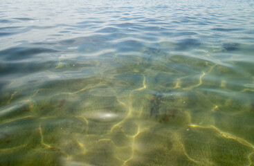 Abstract water surface of the sea with bubbles, reflections and green algae on seabed