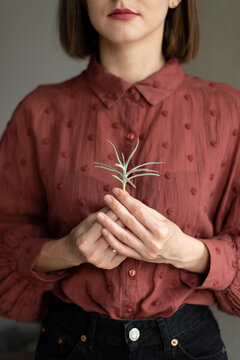 A young attractive girl holds a tilandsia plant in her hands. Close-up shot