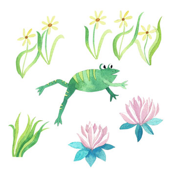 Watercolor set with frog and plants, on white background.