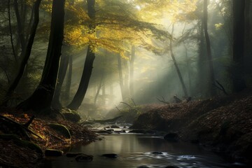 Mystical forest landscape shrouded in morning mist and tranquility - obrazy, fototapety, plakaty