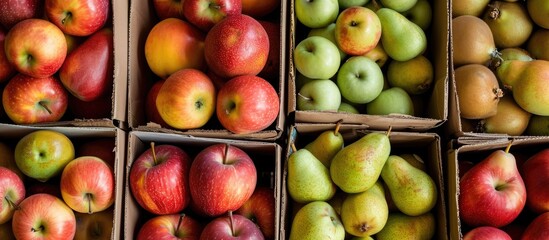 Gather garden fresh organic fruit, like apples and pears, packed in boxes.