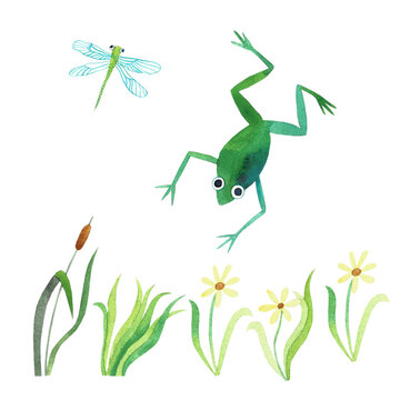 Set of watercolor elements with frog and plants.