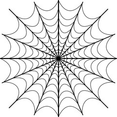 spider web