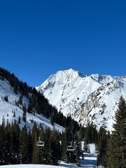 Mt. Superior from Alta, Utah, Salt Lake City, ski resort little cottonwood canyon in winter with snow
