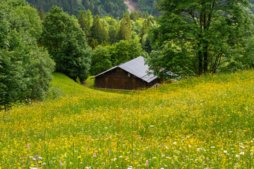 Picturesque view of a barn, a wooden cabin an alpine flower-filled meadow while hiking Tour du Mont...