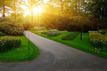 Fototapeta na wymiar Garden stone path in a botanical garden