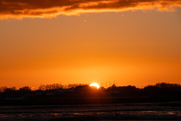 bright orange sky at sunset over the trees