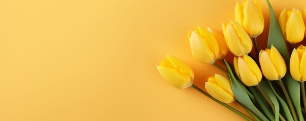 a bouquet of tulips on a yellow background
