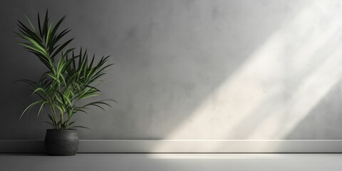 A Minimal abstract background for product presentation. The light and shadow of leaves shining through the window on the gray cement wall, the empty room