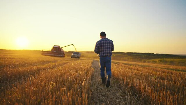 Farmer worker man in cap with tablet working on field controls of combine harvester harvesting ripe wheat at sunset, rear view. Food production, farmland, farm company, agribusiness concept.