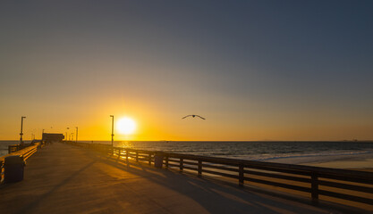 Seagull silhouette over a wooden pier in Los Angeles at sunset