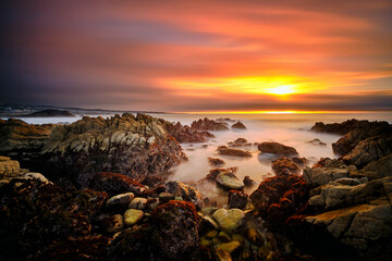 Sunset on the Coastline of Pacific Grove, California.  - obrazy, fototapety, plakaty