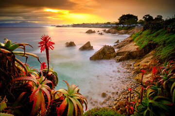 Sunrise on the shore of Pacific Grove, California.  - obrazy, fototapety, plakaty