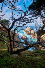 Point Lobos, Carmel, California 