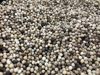 black and white pepper