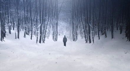 man walking on snowy path in magical winter forest