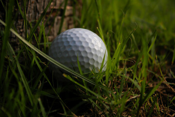 Obstacles to playing golf The golf ball fell at the base of the tree.