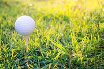 Golf is placed on artificial grass with fair light shining on it.