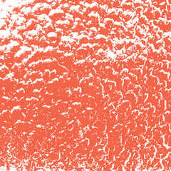 Grapefruit square texture background. Citrus design. Vector illustartion.
