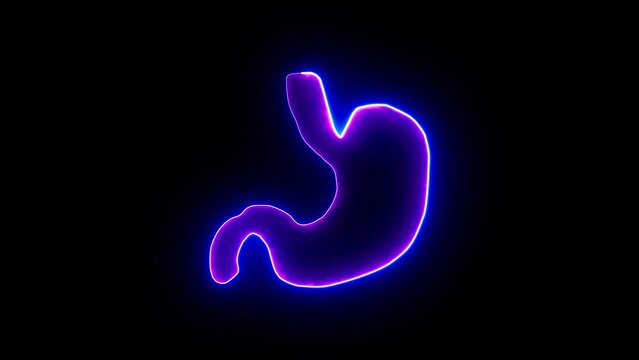 Neon line animation of a anatomy visualization of a human stomach.