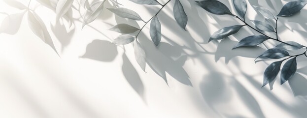 minimalistic light background with blurred foliage shadow on a white wall beautiful background for 