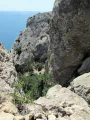 rocky coast of the sea