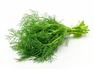 Fresh, vibrant green dill bundle isolated on a clean white background.