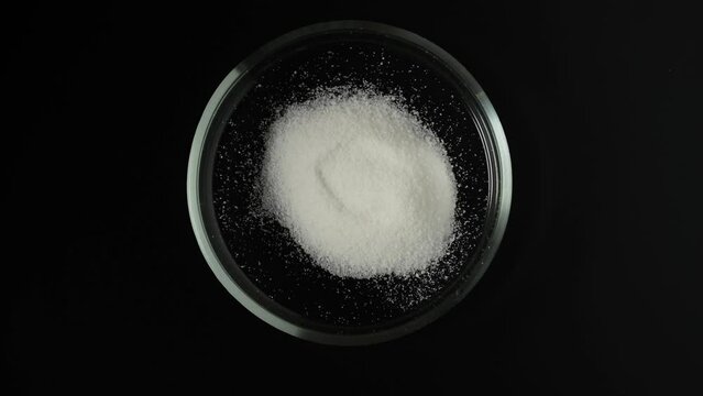 Glucono-delta-lactone, also known as gluconolactone. Pure GDL in Petri dish on dark background. Food additive E575. White powder, oxidized derivative of glucose. Acidity regulator, baking powder.