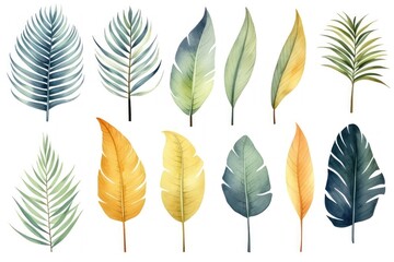Colorful palm leaf