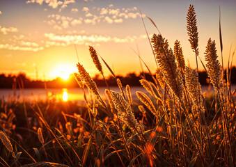 golden sunset illuminates the sky and grass Beautiful sunset over the lake. Landscape with golden grass.