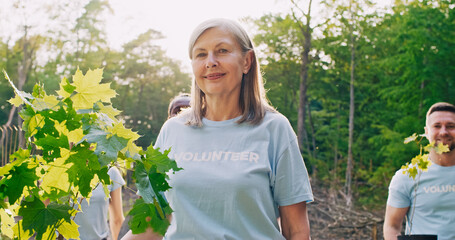 Portrait of beautiful older charming Caucasian woman holding small tree looking at camera and smiling. Team of enthusiastic volunteers having fun after planting trees in forest.