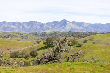 Santa Ynez Valley Mountain Ranges California Los Olivos