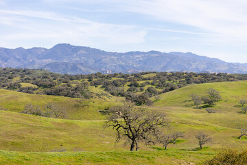 Santa Ynez California Mountains