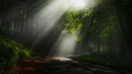 Title: The road is illuminated by sun rays breaking through the fog in the mountains
