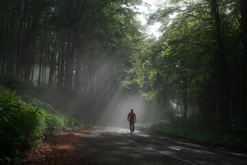 Walking on the roud in the foggy forest 